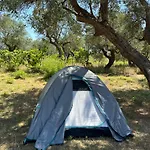 Camping Qeparo Kemping
