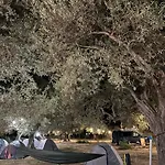 Camping Qeparo * Qeparo