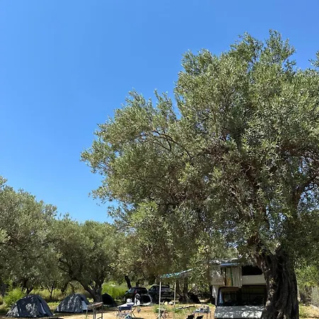 Кемпинг Camping Qeparo Кепаро