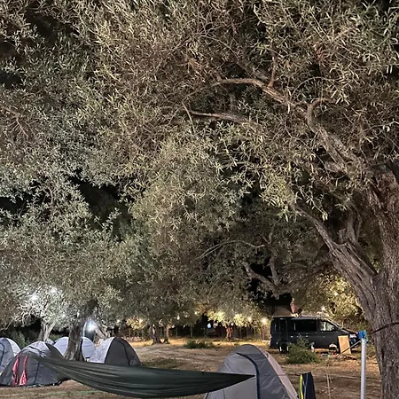 Camping Qeparo * Кепаро
