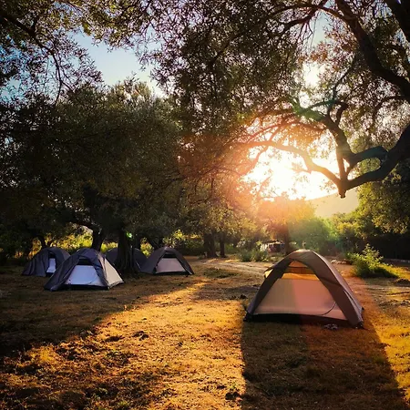 Camping Qeparo *
