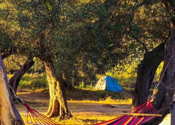 Camping Qeparo