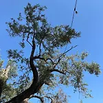 Κάμπινγκ Camping Qeparo *