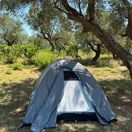 Camping Qeparo אתר קמפינג