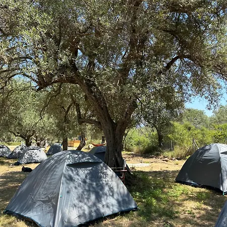אתר קמפינג Camping Qeparo צ'פרו