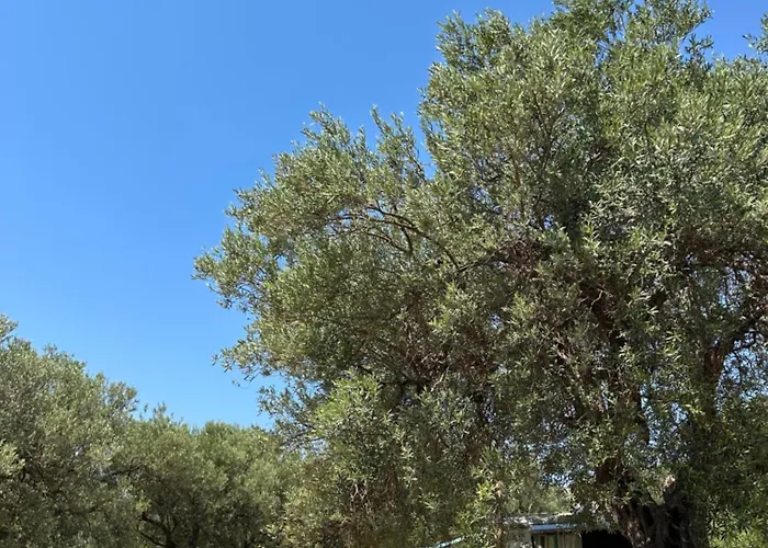 مكان تخييم Camping Qeparo كيبارو