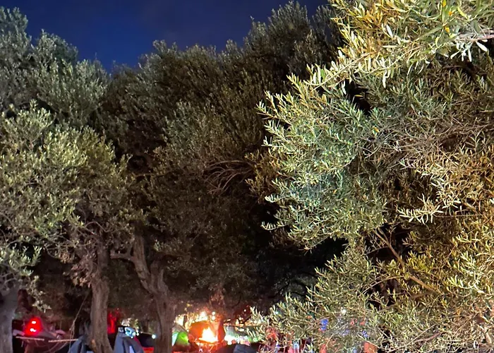 Camping Qeparo Kamp alanı Qeparo