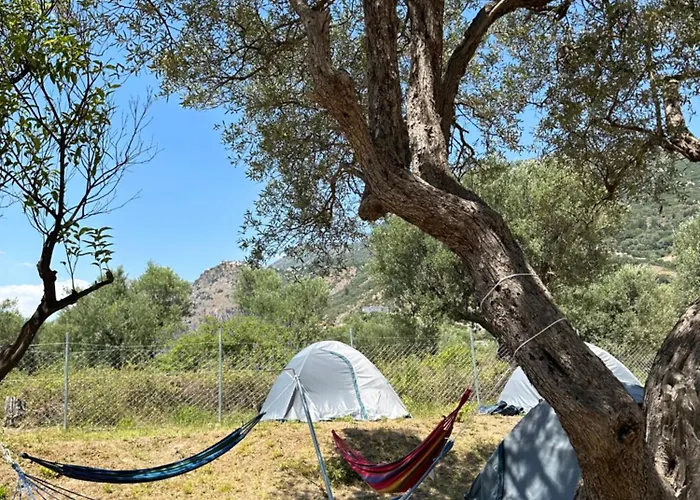 Camping Qeparo