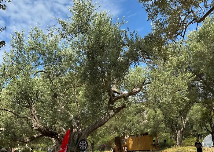 Kamp alanı Camping Qeparo *