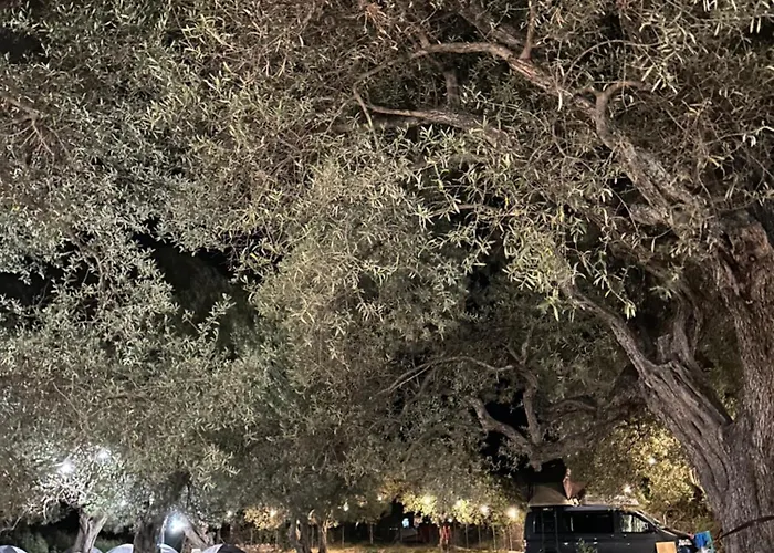 Camping Qeparo * كيبارو