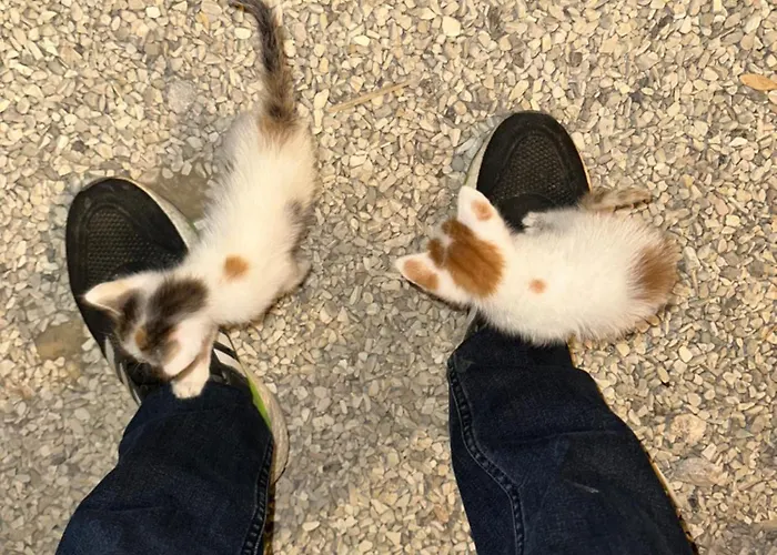 مكان تخييم Camping Qeparo