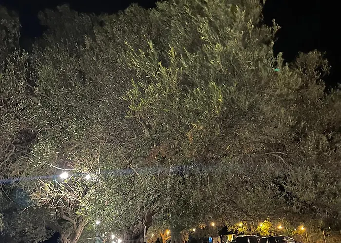 مكان تخييم Camping Qeparo كيبارو